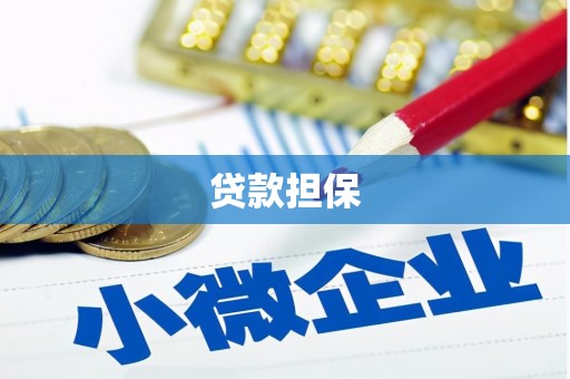 毕节贷款担保