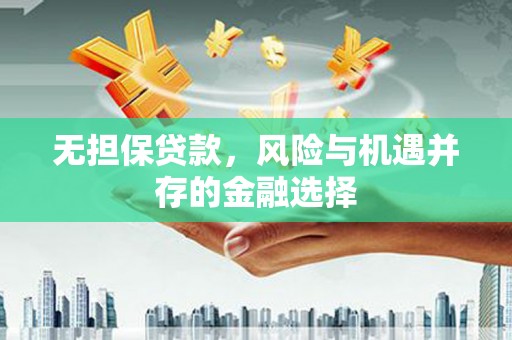 毕节无担保贷款，风险与机遇并存的金融选择