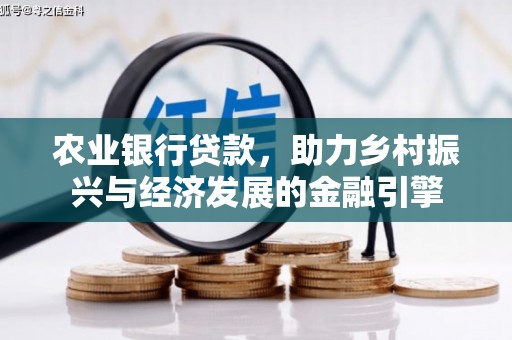 毕节农业银行贷款，助力乡村振兴与经济发展的金融引擎