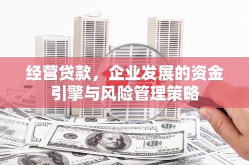 毕节经营贷款，企业发展的资金引擎与风险管理策略