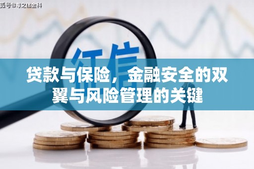 毕节贷款与保险，金融安全的双翼与风险管理的关键