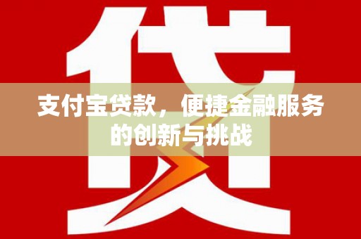 毕节支付宝贷款，便捷金融服务的创新与挑战