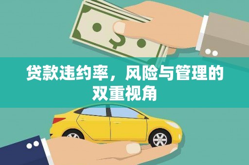 毕节贷款违约率，风险与管理的双重视角