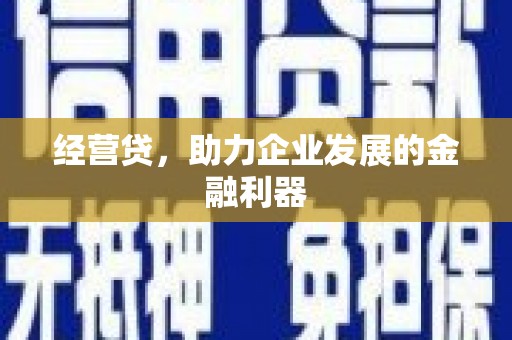 毕节经营贷，助力企业发展的金融利器