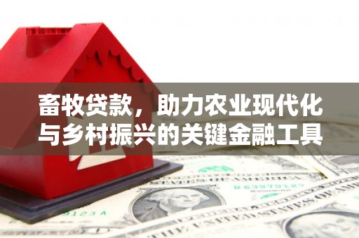 毕节畜牧贷款，助力农业现代化与乡村振兴的关键金融工具