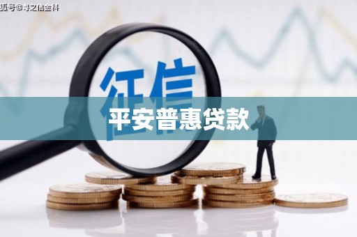毕节平安普惠贷款