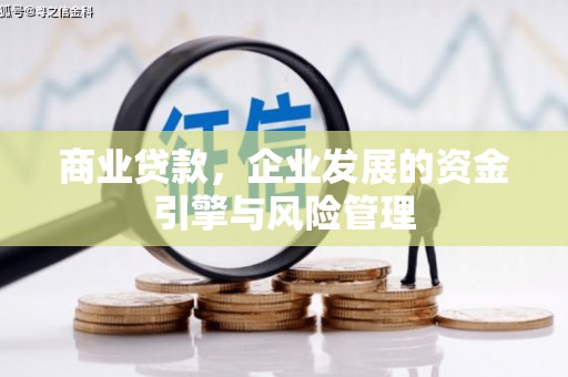 毕节商业贷款，企业发展的资金引擎与风险管理