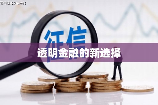 毕节透明金融的新选择