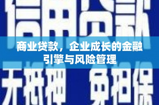 毕节商业贷款，企业成长的金融引擎与风险管理