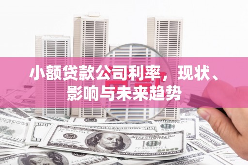 毕节小额贷款公司利率，现状、影响与未来趋势