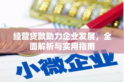 毕节经营贷款助力企业发展，全面解析与实用指南