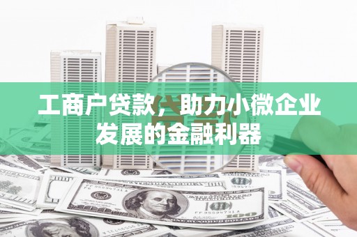 毕节工商户贷款，助力小微企业发展的金融利器