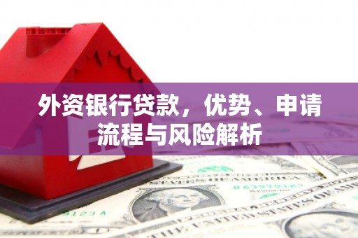 毕节外资银行贷款，优势、申请流程与风险解析