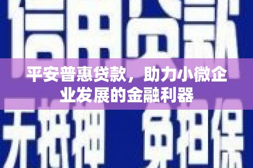 毕节平安普惠贷款，助力小微企业发展的金融利器