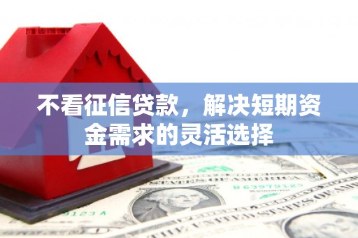 毕节不看征信贷款，解决短期资金需求的灵活选择