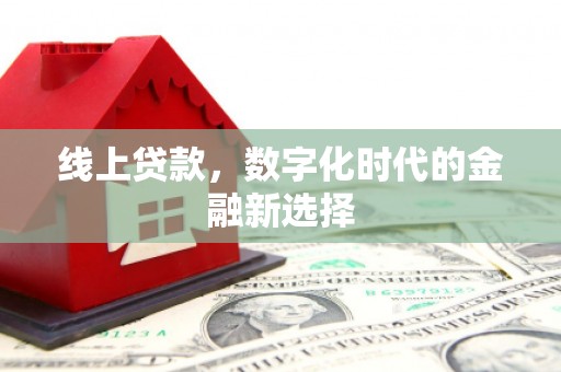 毕节线上贷款，数字化时代的金融新选择