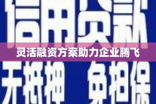毕节灵活融资方案助力企业腾飞