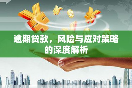 毕节逾期贷款，风险与应对策略的深度解析