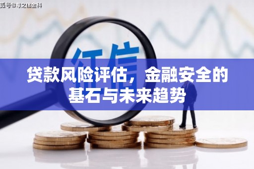 毕节贷款风险评估，金融安全的基石与未来趋势