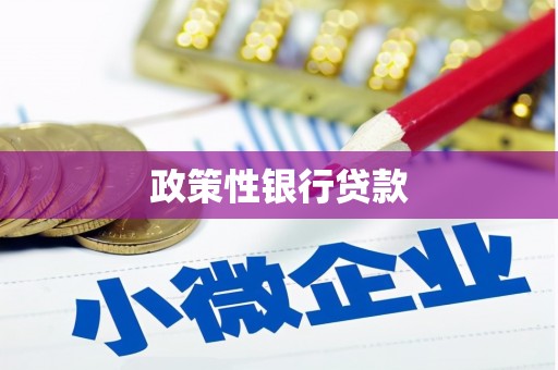 毕节政策性银行贷款