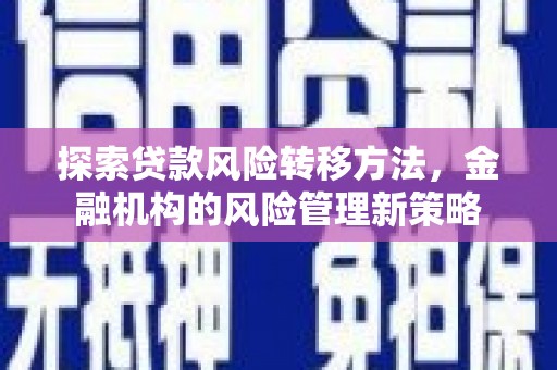 毕节探索贷款风险转移方法，金融机构的风险管理新策略