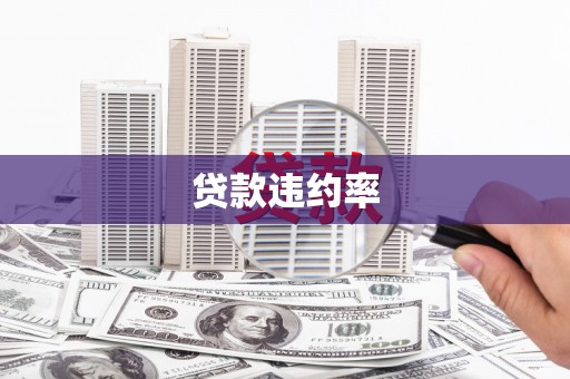 毕节贷款违约率