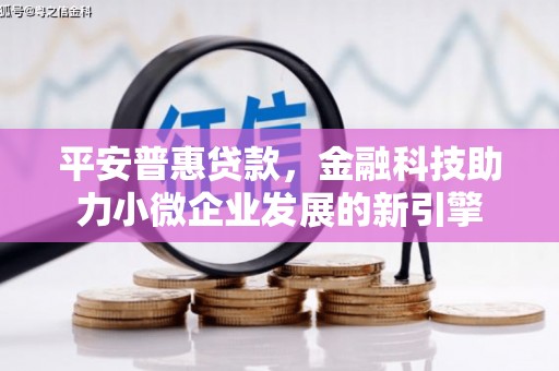 毕节平安普惠贷款，金融科技助力小微企业发展的新引擎