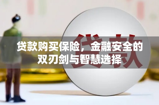 毕节贷款购买保险，金融安全的双刃剑与智慧选择