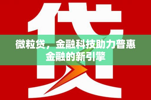 毕节微粒贷，金融科技助力普惠金融的新引擎