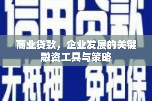 毕节商业贷款，企业发展的关键融资工具与策略