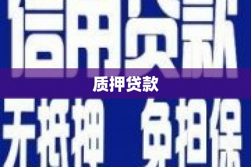 毕节质押贷款