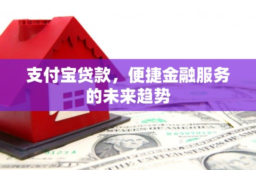 毕节支付宝贷款，便捷金融服务的未来趋势