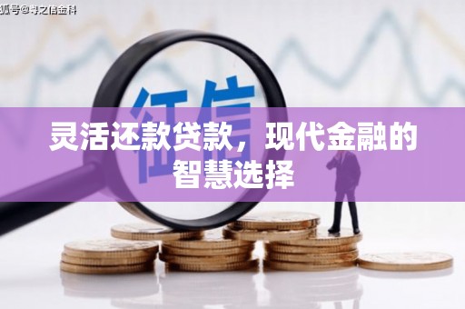 毕节灵活还款贷款，现代金融的智慧选择