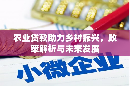 毕节农业贷款助力乡村振兴，政策解析与未来发展