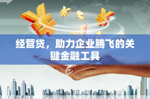 毕节经营贷，助力企业腾飞的关键金融工具