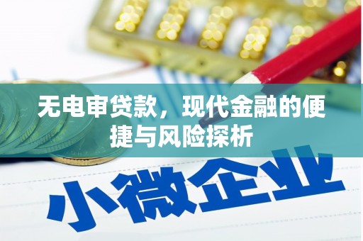 毕节无电审贷款，现代金融的便捷与风险探析