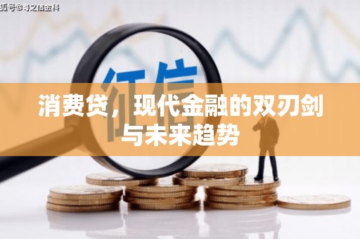 毕节消费贷，现代金融的双刃剑与未来趋势