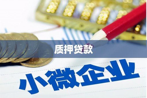 毕节质押贷款