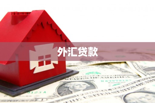 毕节外汇贷款