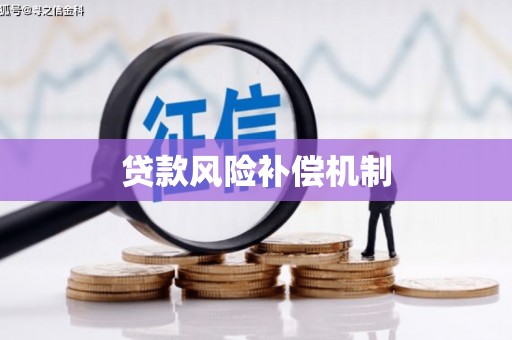 毕节贷款风险补偿机制