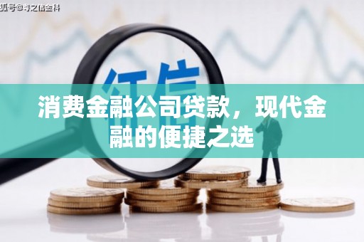 毕节消费金融公司贷款，现代金融的便捷之选