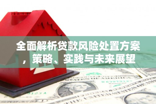 毕节全面解析贷款风险处置方案，策略、实践与未来展望
