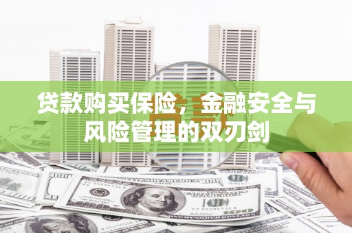 毕节贷款购买保险，金融安全与风险管理的双刃剑