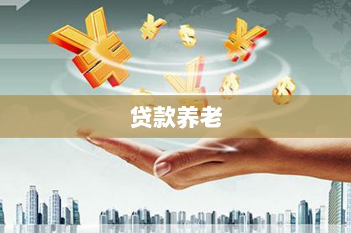 毕节贷款养老