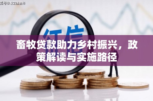 毕节畜牧贷款助力乡村振兴，政策解读与实施路径