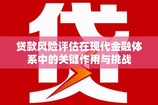毕节贷款风险评估在现代金融体系中的关键作用与挑战