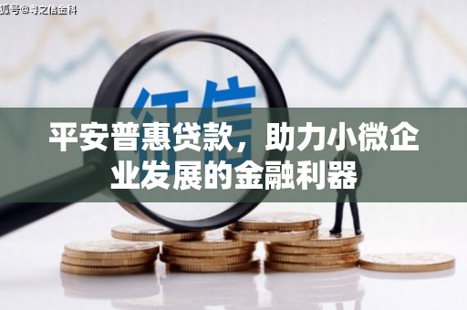 毕节平安普惠贷款，助力小微企业发展的金融利器