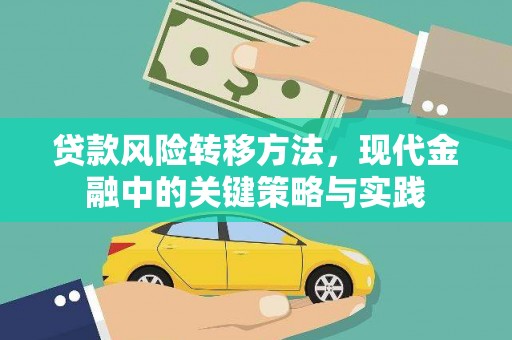 毕节贷款风险转移方法，现代金融中的关键策略与实践