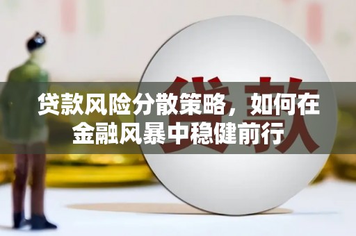 毕节贷款风险分散策略，如何在金融风暴中稳健前行