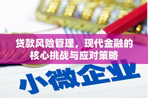 毕节贷款风险管理，现代金融的核心挑战与应对策略